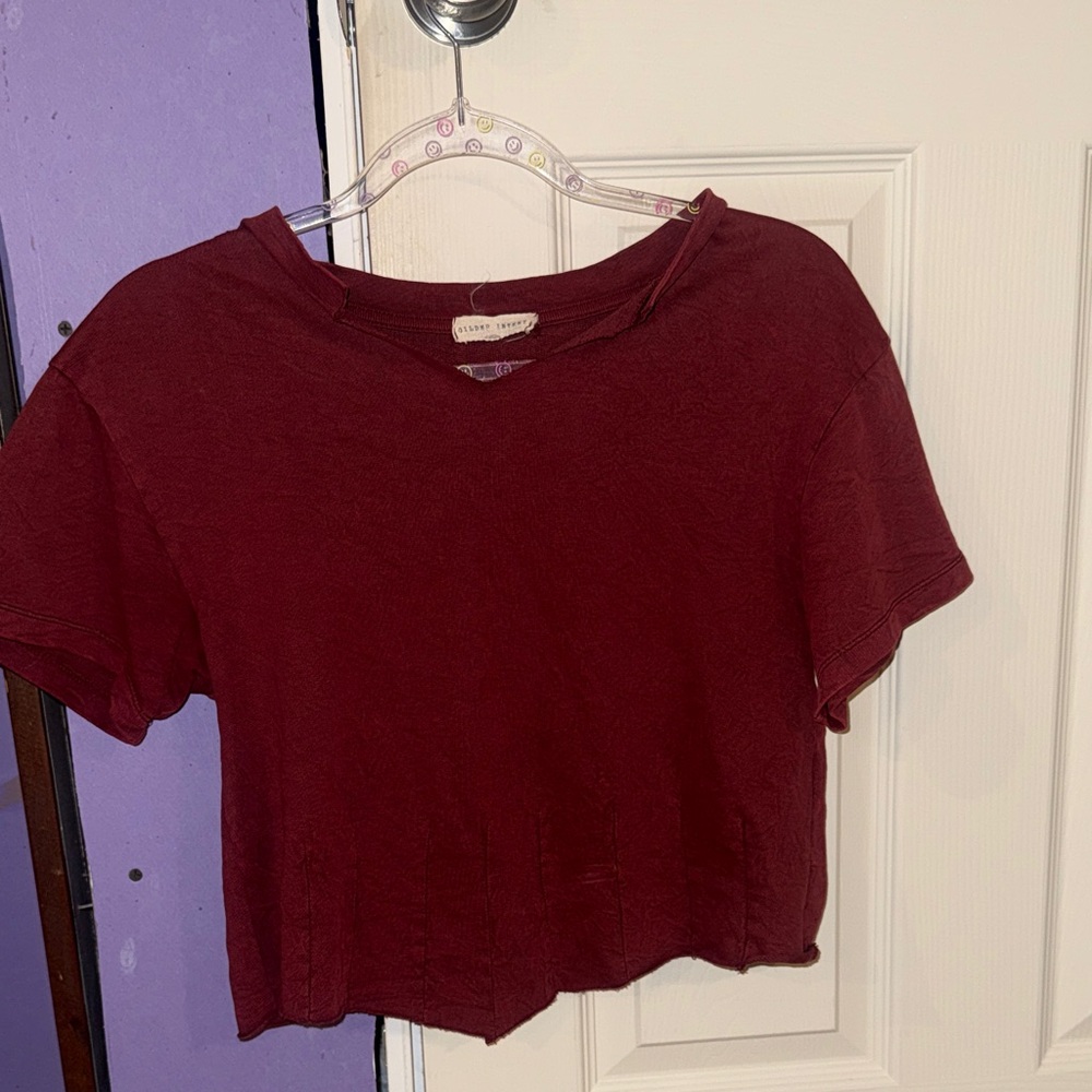 Forever 21 Burgundy Crop Top